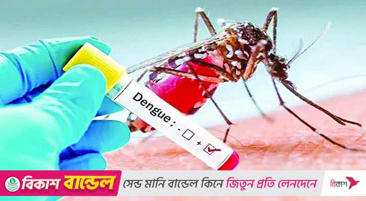 ডেঙ্গুতে তিনজনের মৃত্যু, হাসপাতালে ভর্তি ৭০০